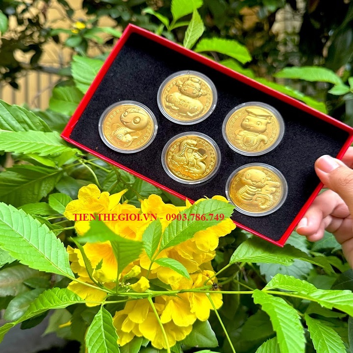 Hộp Quà Tặng 5 Đồng Xu Hình Con Rắn Mạ Vàng May Mắn